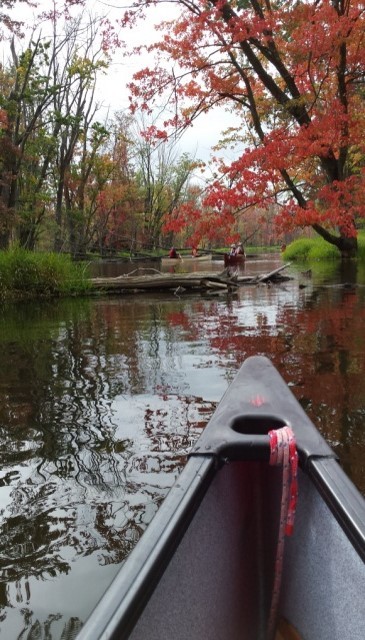 canoe1